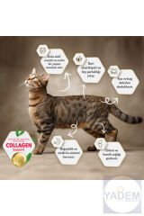 Somonlu Kısırlaştırılmış Kedi Maması 12 Kg 28042001, one size