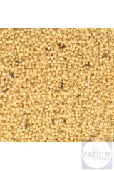 Special Kabuksuz Kuş Yemi 400gr 2 Adet