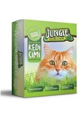 Petshop Kedi Çimi Kutulu (fileli)