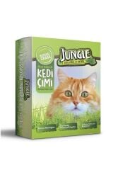 Kedi Çimi Seti