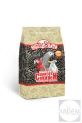 Dakota Papağan Jako Çekirdeği 600 Gr.